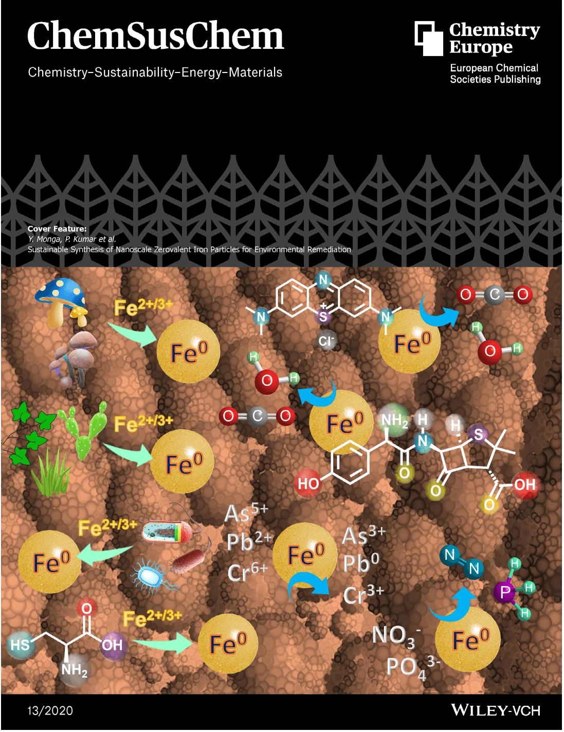 ChemSusChem journal cover (1)